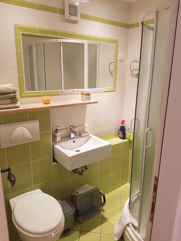 Apartments Mirela Gradac  Εξωτερικό φωτογραφία